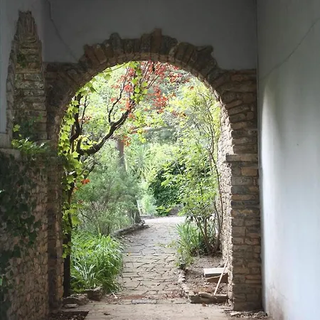 Borda Del Vinyer סורט